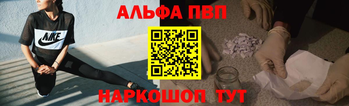 Альфа ПВП СК Лениногорск