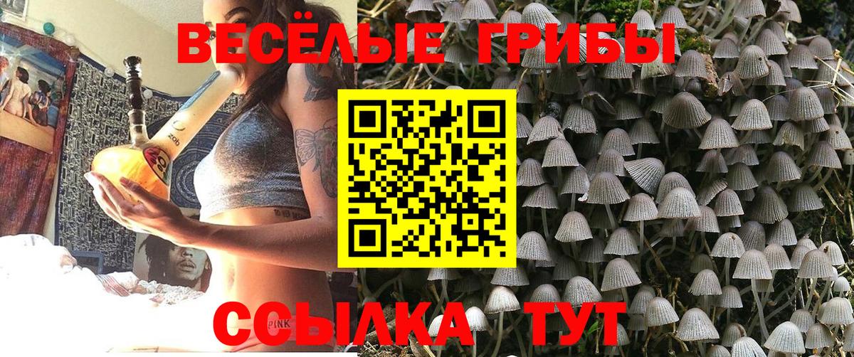 Галлюциногенные грибы Magic Shrooms  Вход с VPN  Галлюциногенные грибы GOLDEN TEACHER  Лениногорск 