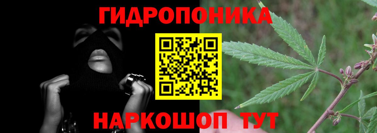 Лениногорск  Бошки Шишки тримм  Марихуана план  Вход с VPN 